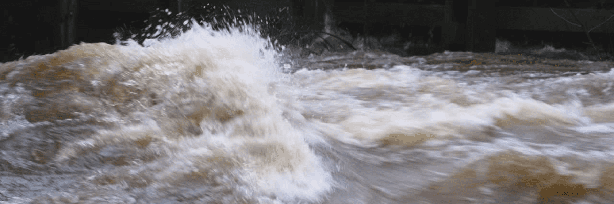 Entienda la importancia de contar con un plan de recuperación de desastres en la administración documental