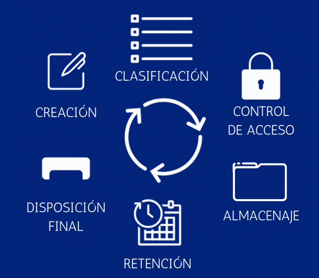 Trazabilidad documental en el manejo de registros